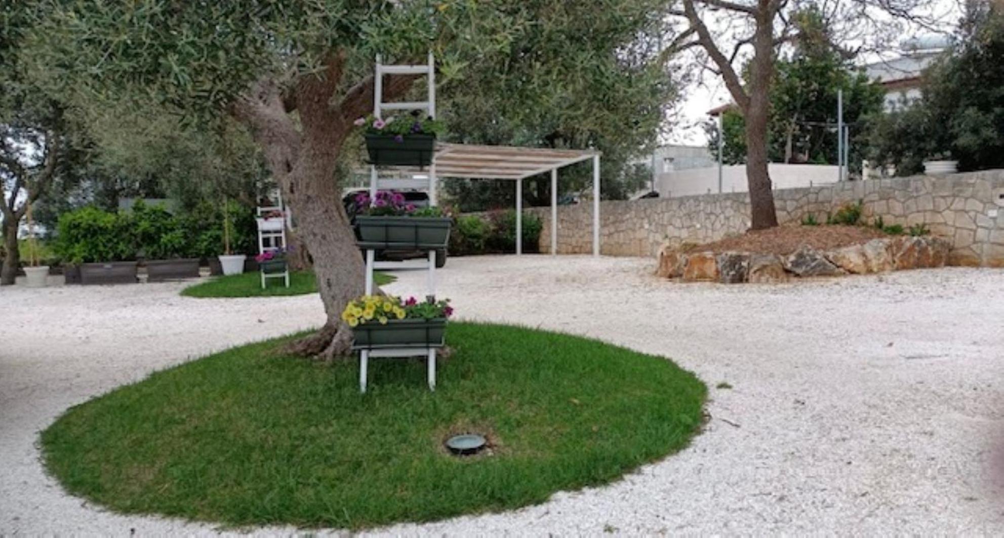 Casa Vacanze 'La Quercia' ชิสแตร์นีโน ภายนอก รูปภาพ